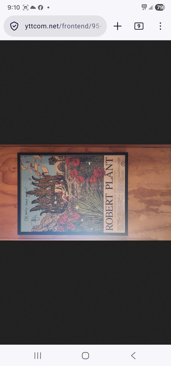 Robert Plant poster